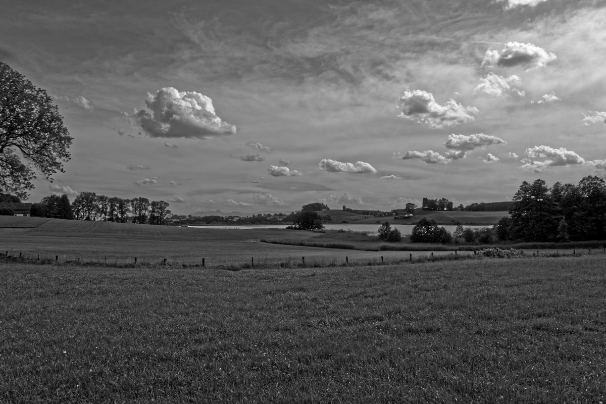 Blick auf den Egglburger See