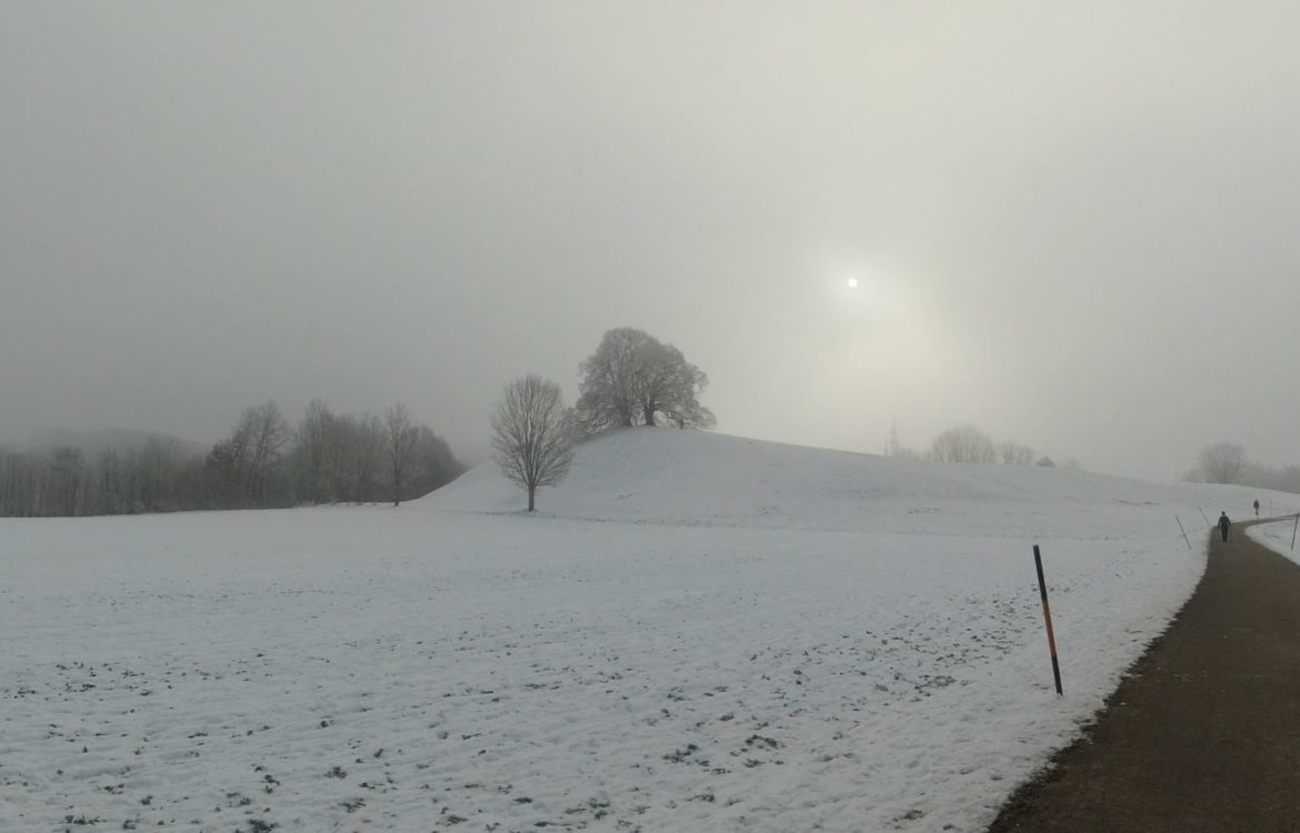 Winter Run 2 Aßling – 24km – NEW
