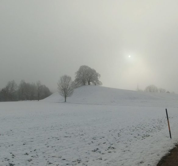 Winter Run 2 Aßling – 24km – NEW