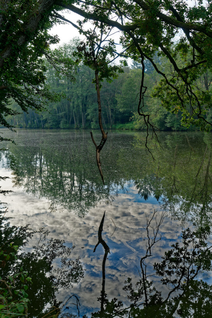 Langweiher Ebersberg